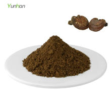 Wild Organic Ganoderma Lucidum Reishi Mushroom Powder Reishi Powder